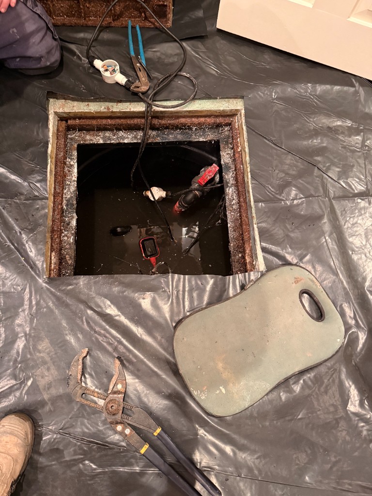 Basement Sewer Pump Replacement in North Adelaide