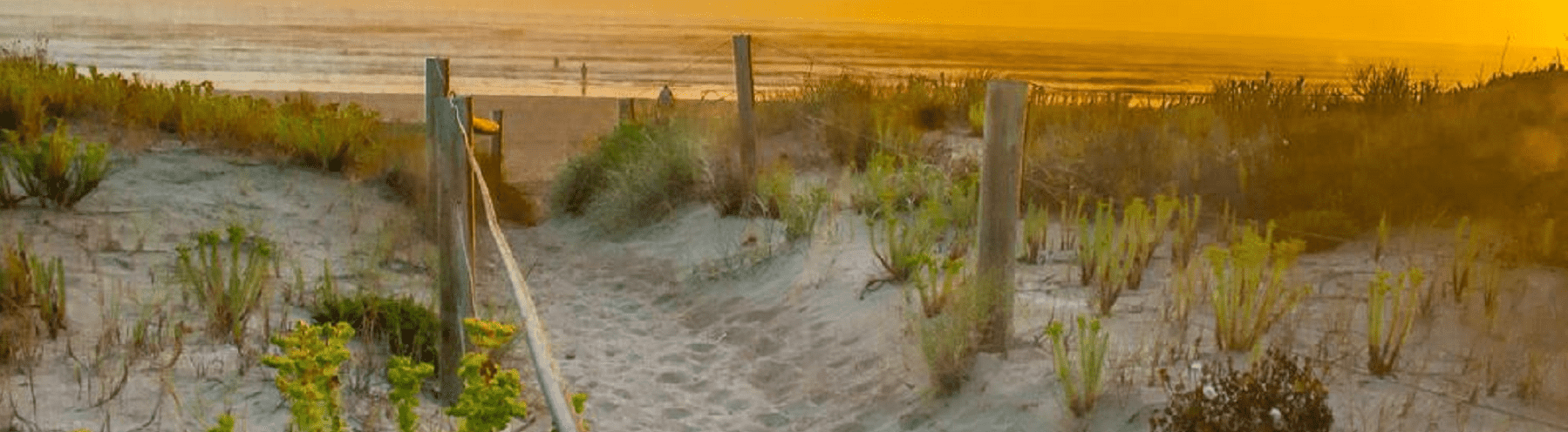 Goolwa Septic Tank Cleaning